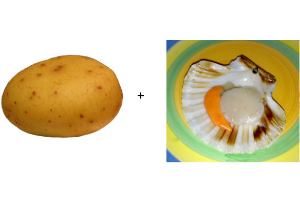 Potatoe Scallop.jpg