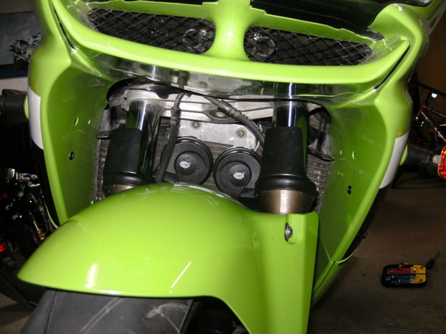 ahorns 005.jpg