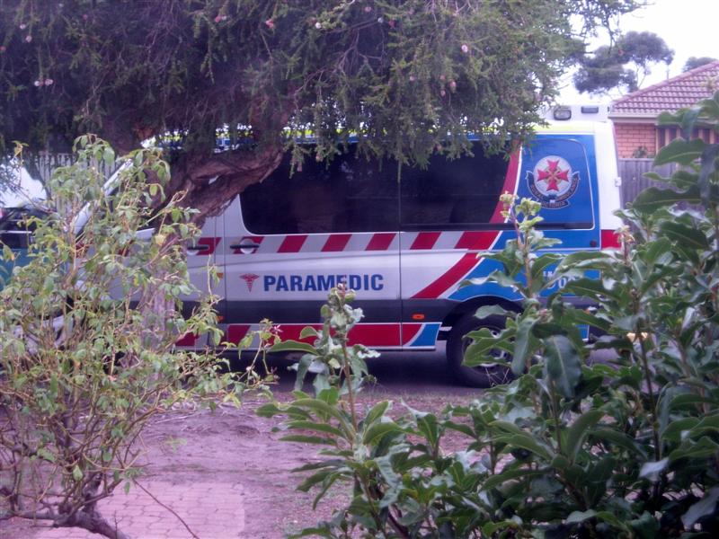 DSCN3806 (Medium).JPG