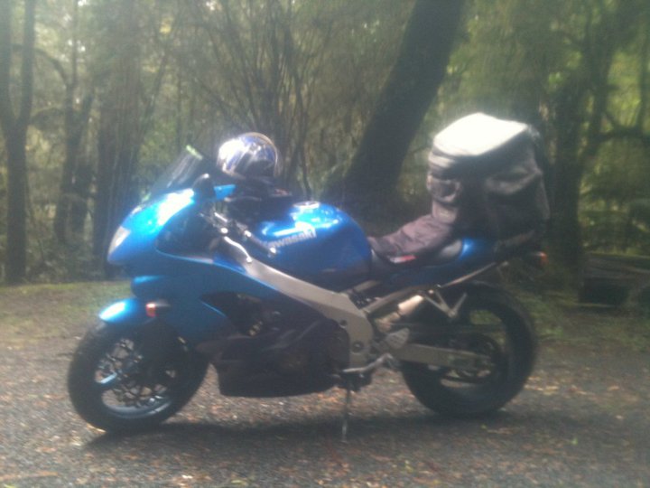 Otways Waterfall Tourist Track 2.jpg