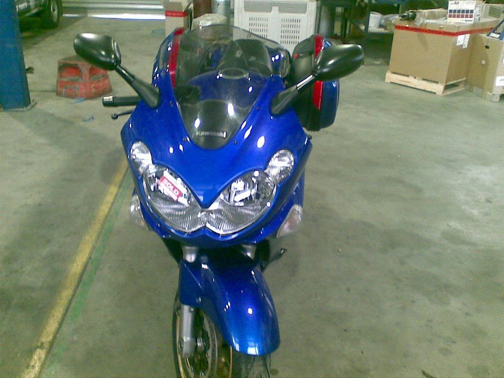 my beast.jpg