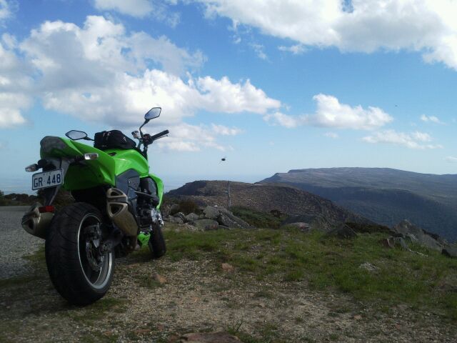 At the top (dam bug)