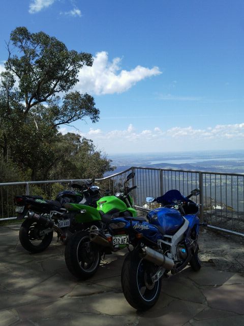 All GREEN