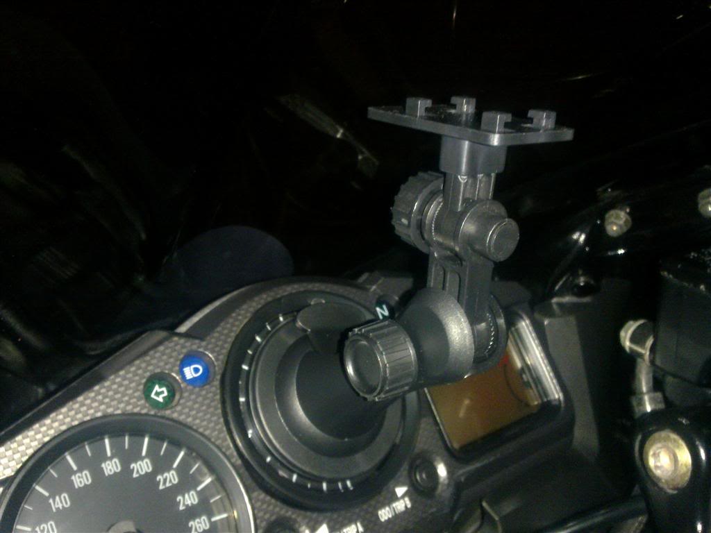 hoffcam speedo.jpg