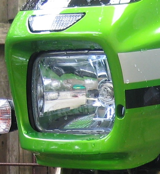IMG_2279croplightonly.JPG