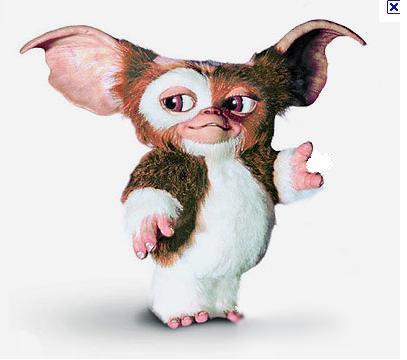 gizmo.JPG
