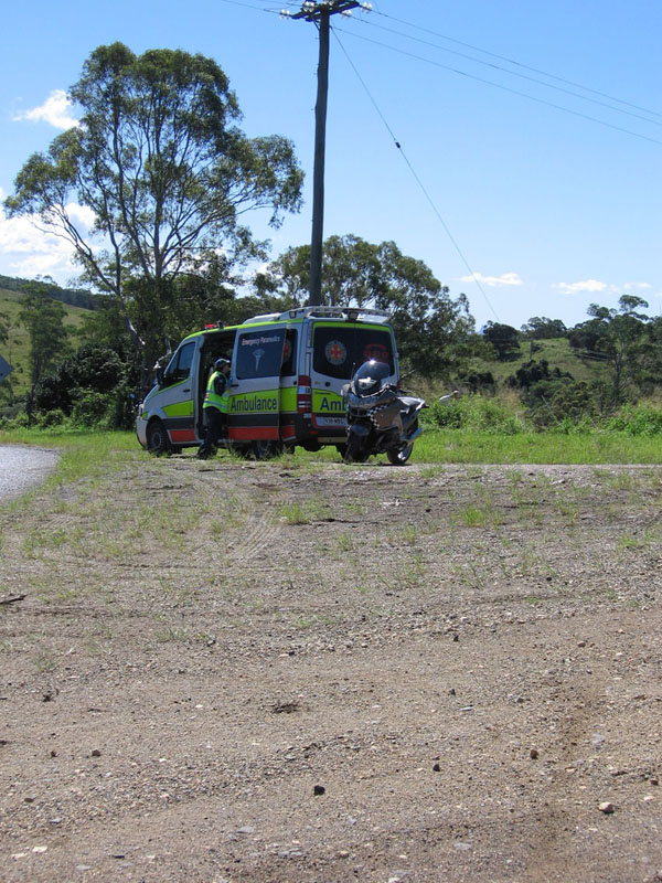 marks showing where he headed for the bush