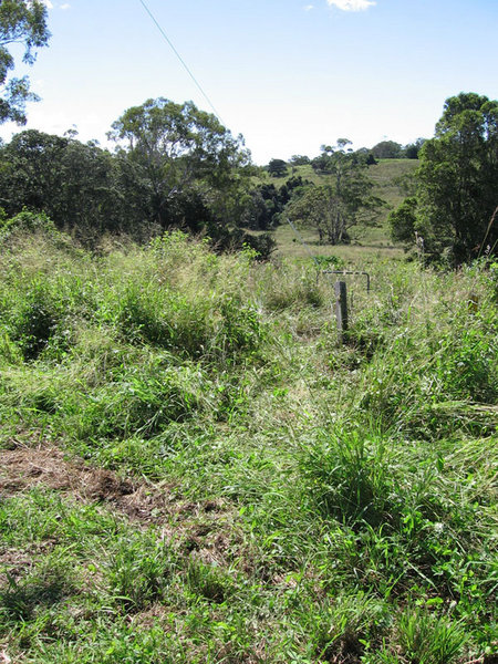 went threw this wire fence