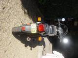 th_019.jpg