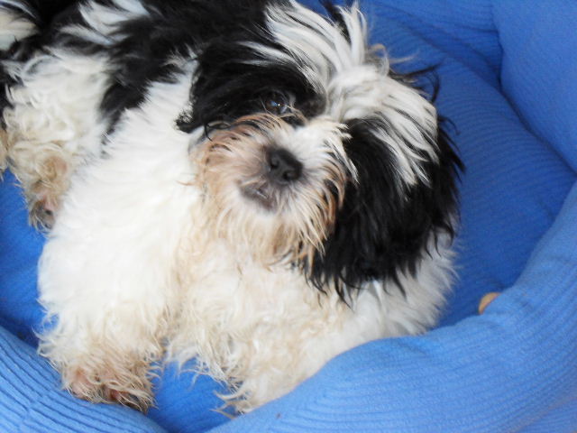 HUGO about 3 months ago
