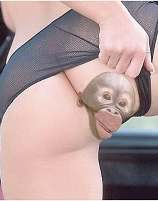 Monkey lips.jpg