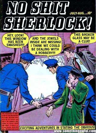 no-shit-sherlock.jpg