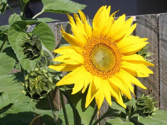 December January 025.jpg