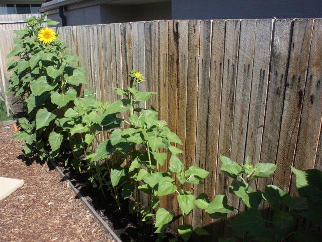 December January 033.jpg