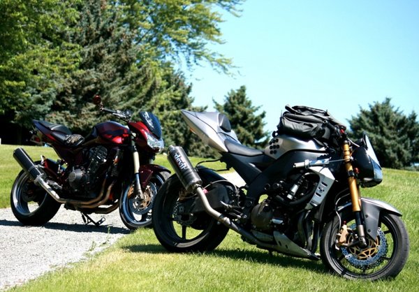 ZX10 Zed.jpg
