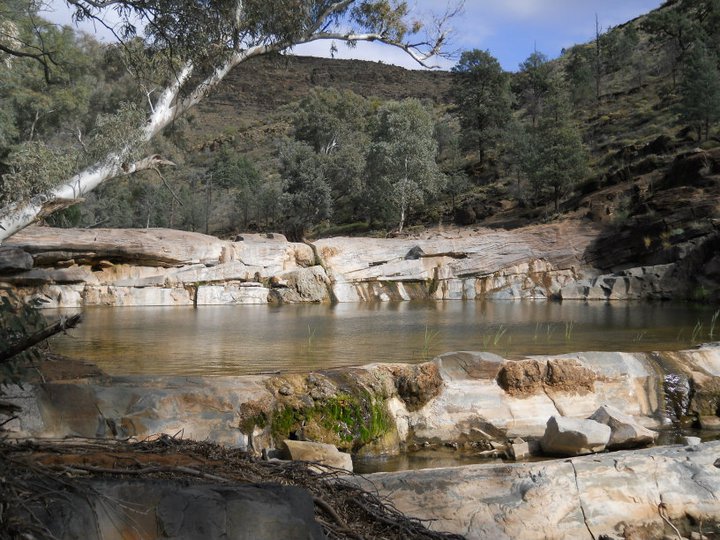 Flinders ranges