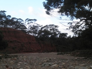 P8192763 - Copy.JPG