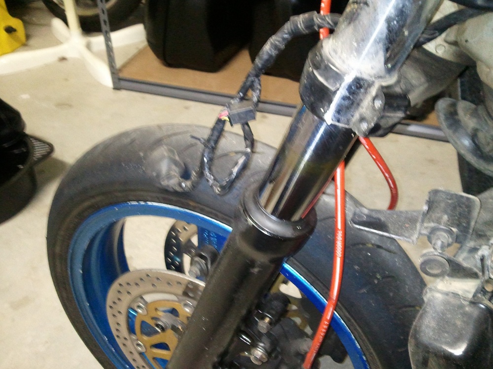 Fork Leg.jpg