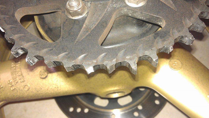 IMAG0200 (800x451).jpg