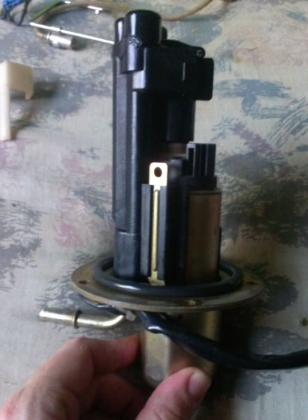 IMAG0192.jpg