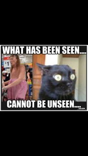 ImageUploadedByTapatalk1359804196.242446.jpg