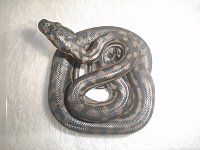 smallbub.jpg