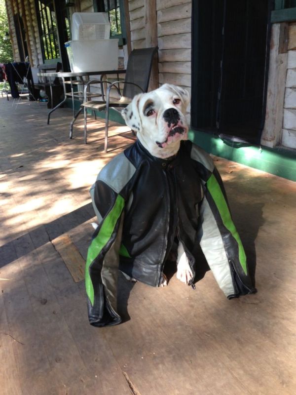 Khema_jacket.JPG