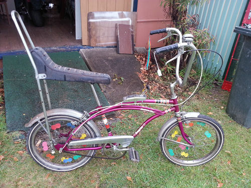 Malvern Star.jpg