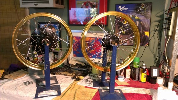 IMAG0849 (650x366).jpg