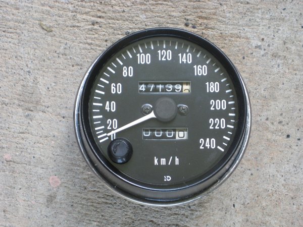 Speedo Final.jpg