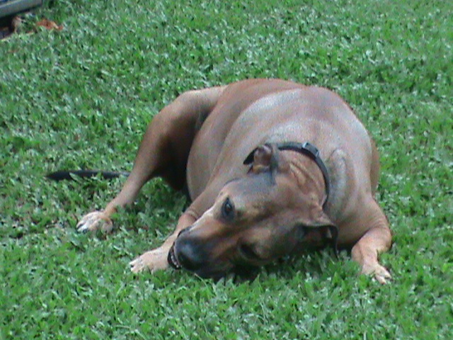 DSC00005.JPG