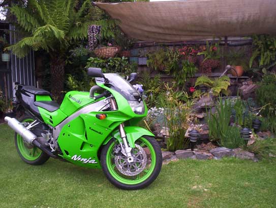 zx2 ninja 5.jpg