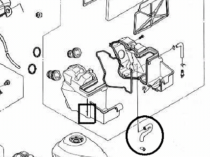 b1.jpeg