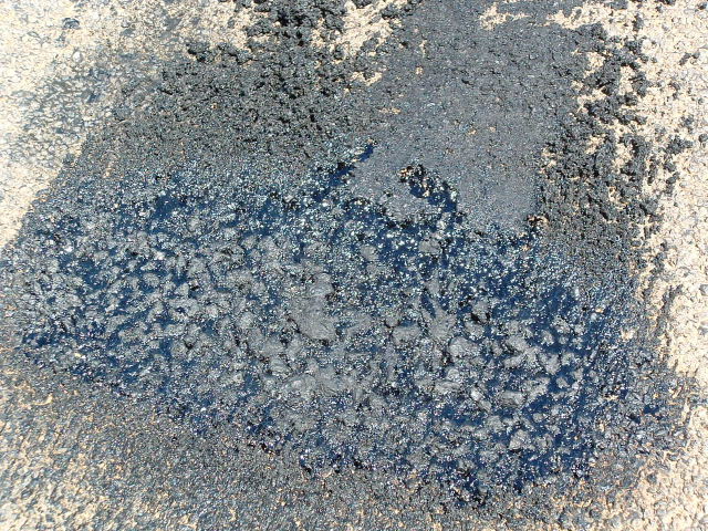 DSCF0011.JPG