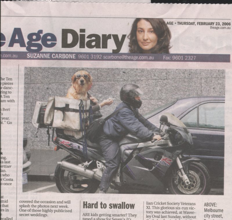 gixxer_dog.jpg