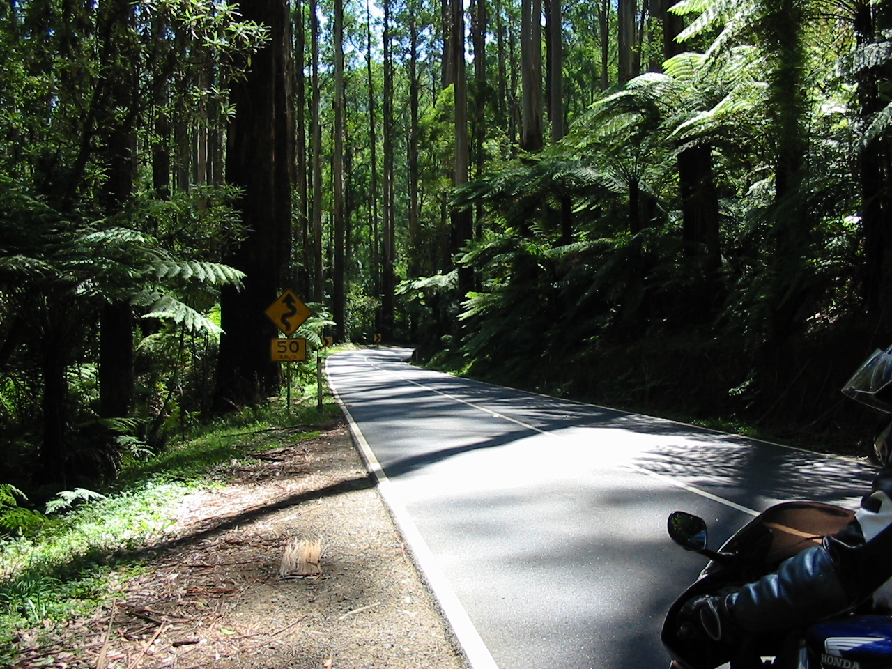 black spur.JPG