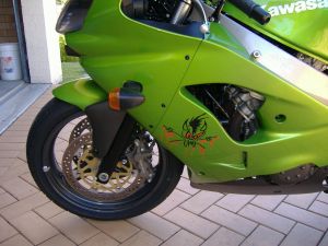 ZX9r Green