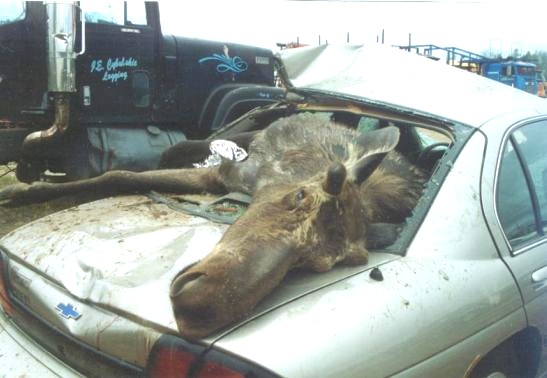 This is out the BACK of the car....