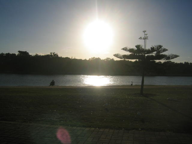 pic10