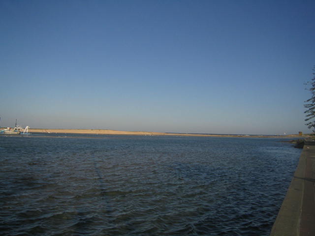 pic2