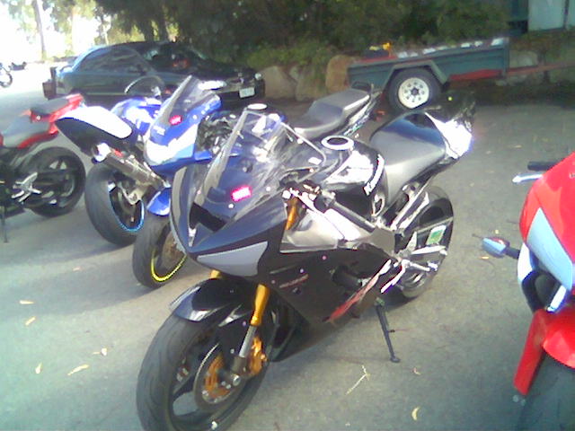 crappy photo but best I could find