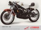 tz250.jpg